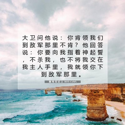 Picture 07 - 撒 母 耳 记 上 30:15 CUVS - 大 卫 问 他 说 ： 你 肯 领 我 们 到 - Bible Verse Picture