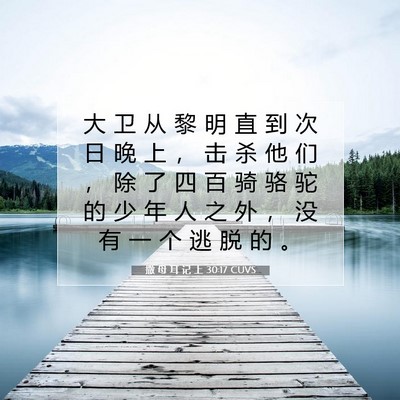 Picture 07 - 撒 母 耳 记 上 30:17 CUVS - 大 卫 从 黎 明 直 到 次 日 晚 上 ， - Bible Verse Picture