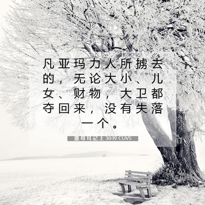 Picture 07 - 撒 母 耳 记 上 30:19 CUVS - 凡 亚 玛 力 人 所 掳 去 的 ， 无 论 - Bible Verse Picture