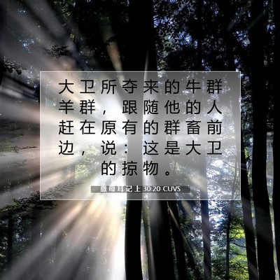 Picture 07 - 撒 母 耳 记 上 30:20 CUVS - 大 卫 所 夺 来 的 牛 群 羊 群 ， 跟 - Bible Verse Picture