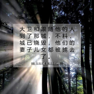Picture 07 - 撒 母 耳 记 上 30:3 CUVS - 大 卫 和 跟 随 他 的 人 到 了 那 城 - Bible Verse Picture