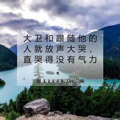 Picture 07 - 撒 母 耳 记 上 30:4 CUVS - 大 卫 和 跟 随 他 的 人 就 放 声 大 - Bible Verse Picture