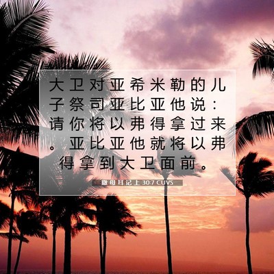 Picture 07 - 撒 母 耳 记 上 30:7 CUVS - 大 卫 对 亚 希 米 勒 的 儿 子 祭 司 - Bible Verse Picture