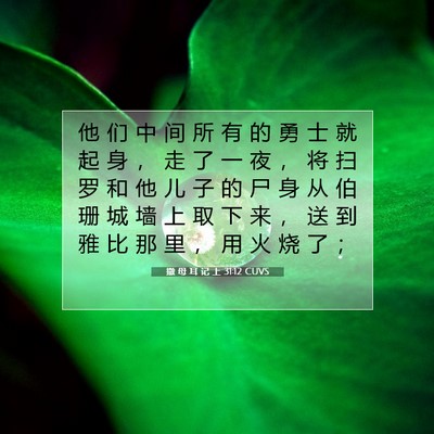 Picture 07 - 撒 母 耳 记 上 31:12 CUVS - 他 们 中 间 所 有 的 勇 士 就 起 身 - Bible Verse Picture
