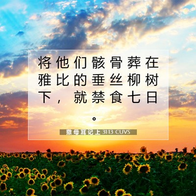 Picture 07 - 撒 母 耳 记 上 31:13 CUVS - 将 他 们 骸 骨 葬 在 雅 比 的 垂 丝 - Bible Verse Picture