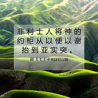 Picture 07 - 撒 母 耳 记 上 5:1 CUVS - 非 利 士 人 将 神 的 约 柜 从 以 便 - Bible Verse Picture