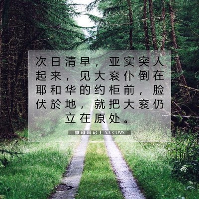 Picture 07 - 撒 母 耳 记 上 5:3 CUVS - 次 日 清 早 ， 亚 实 突 人 起 来 ， - Bible Verse Picture