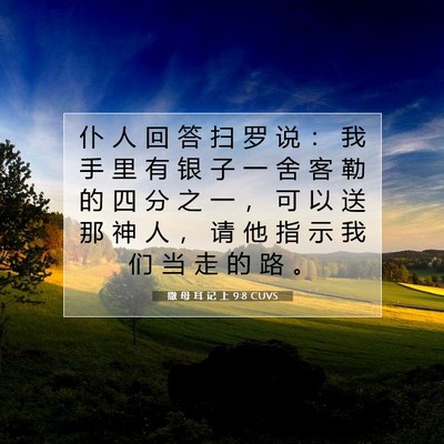 Picture 07 - 撒 母 耳 记 上 9:8 CUVS - 仆 人 回 答 扫 罗 说 ： 我 手 里 有 - Bible Verse Picture