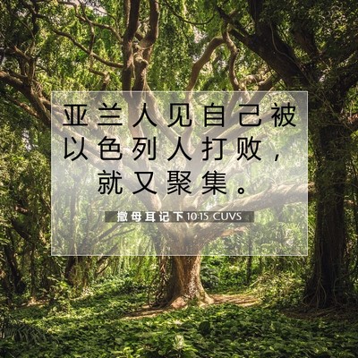 Picture 07 - 撒 母 耳 记 下 10:15 CUVS - 亚 兰 人 见 自 己 被 以 色 列 人 打 - Bible Verse Picture