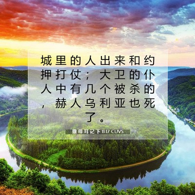Picture 07 - 撒 母 耳 记 下 11:17 CUVS - 城 里 的 人 出 来 和 约 押 打 仗 ； - Bible Verse Picture