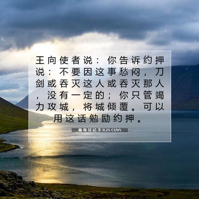 Picture 07 - 撒 母 耳 记 下 11:25 CUVS - 王 向 使 者 说 ： 你 告 诉 约 押 说 - Bible Verse Picture