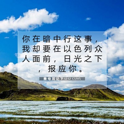 Picture 07 - 撒 母 耳 记 下 12:12 CUVS - 你 在 暗 中 行 这 事 ， 我 却 要 在 - Bible Verse Picture