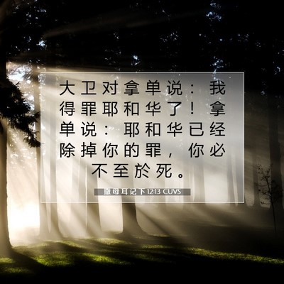 Picture 07 - 撒 母 耳 记 下 12:13 CUVS - 大 卫 对 拿 单 说 ： 我 得 罪 耶 和 - Bible Verse Picture