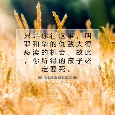 Picture 07 - 撒 母 耳 记 下 12:14 CUVS - 只 是 你 行 这 事 ， 叫 耶 和 华 的 - Bible Verse Picture