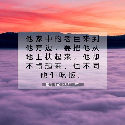 Picture 07 - 撒 母 耳 记 下 12:17 CUVS - 他 家 中 的 老 臣 来 到 他 旁 边 ， - Bible Verse Picture