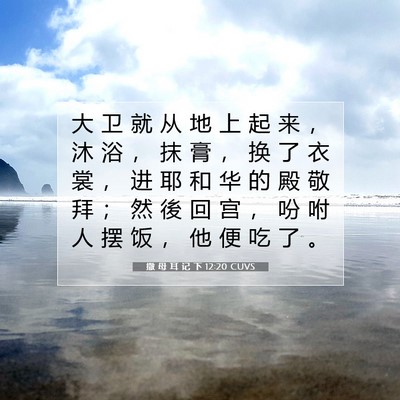 Picture 07 - 撒 母 耳 记 下 12:20 CUVS - 大 卫 就 从 地 上 起 来 ， 沐 浴 ， - Bible Verse Picture
