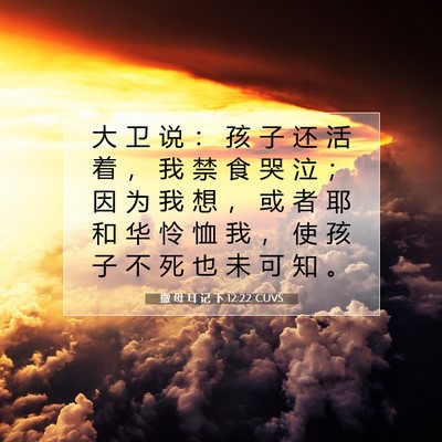 Picture 07 - 撒 母 耳 记 下 12:22 CUVS - 大 卫 说 ： 孩 子 还 活 着 ， 我 禁 - Bible Verse Picture