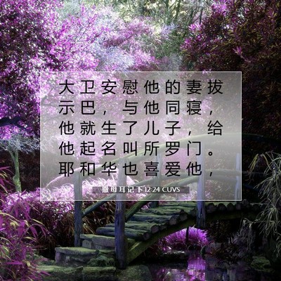 Picture 07 - 撒 母 耳 记 下 12:24 CUVS - 大 卫 安 慰 他 的 妻 拔 示 巴 ， 与 - Bible Verse Picture