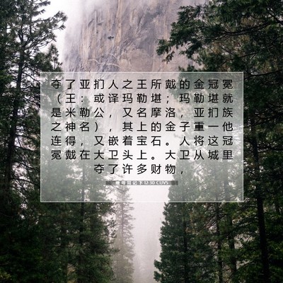 Picture 07 - 撒 母 耳 记 下 12:30 CUVS - 夺 了 亚 扪 人 之 王 所 戴 的 金 冠 - Bible Verse Picture
