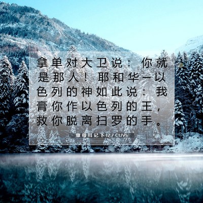 Picture 07 - 撒 母 耳 记 下 12:7 CUVS - 拿 单 对 大 卫 说 ： 你 就 是 那 人 - Bible Verse Picture