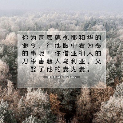 Picture 07 - 撒 母 耳 记 下 12:9 CUVS - 你 为 甚 麽 藐 视 耶 和 华 的 命 令 - Bible Verse Picture