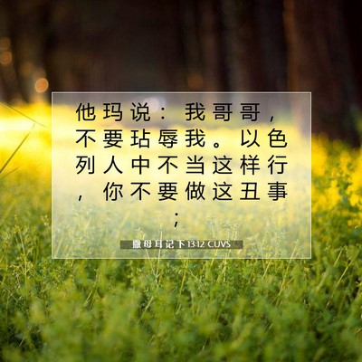 Picture 07 - 撒 母 耳 记 下 13:12 CUVS - 他 玛 说 ： 我 哥 哥 ， 不 要 玷 辱 - Bible Verse Picture