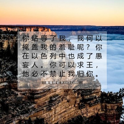 Picture 07 - 撒 母 耳 记 下 13:13 CUVS - 你 玷 辱 了 我 ， 我 何 以 掩 盖 我 - Bible Verse Picture