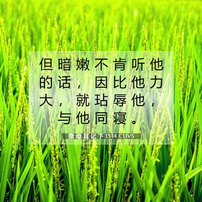 Picture 07 - 撒 母 耳 记 下 13:14 CUVS - 但 暗 嫩 不 肯 听 他 的 话 ， 因 比 - Bible Verse Picture