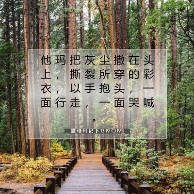 Picture 07 - 撒 母 耳 记 下 13:19 CUVS - 他 玛 把 灰 尘 撒 在 头 上 ， 撕 裂 - Bible Verse Picture