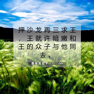 Picture 07 - 撒 母 耳 记 下 13:27 CUVS - 押 沙 龙 再 三 求 王 ， 王 就 许 暗 - Bible Verse Picture