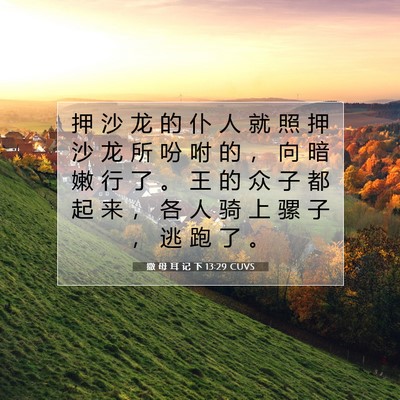 Picture 07 - 撒 母 耳 记 下 13:29 CUVS - 押 沙 龙 的 仆 人 就 照 押 沙 龙 所 - Bible Verse Picture