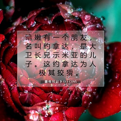 Picture 07 - 撒 母 耳 记 下 13:3 CUVS - 暗 嫩 有 一 个 朋 友 ， 名 叫 约 拿 - Bible Verse Picture