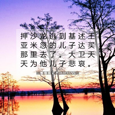 Picture 07 - 撒 母 耳 记 下 13:37 CUVS - 押 沙 龙 逃 到 基 述 王 亚 米 忽 的 - Bible Verse Picture