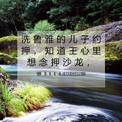 Picture 07 - 撒 母 耳 记 下 14:1 CUVS - 洗 鲁 雅 的 儿 子 约 押 ， 知 道 王 - Bible Verse Picture