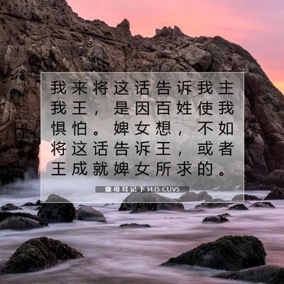 Picture 07 - 撒 母 耳 记 下 14:15 CUVS - 我 来 将 这 话 告 诉 我 主 我 王 ， - Bible Verse Picture