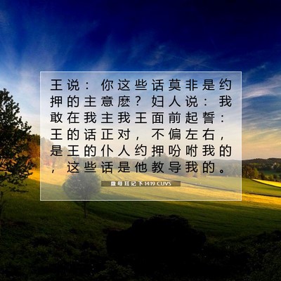 Picture 07 - 撒 母 耳 记 下 14:19 CUVS - 王 说 ： 你 这 些 话 莫 非 是 约 押 - Bible Verse Picture