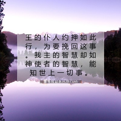 Picture 07 - 撒 母 耳 记 下 14:20 CUVS - 王 的 仆 人 约 押 如 此 行 ， 为 要 - Bible Verse Picture