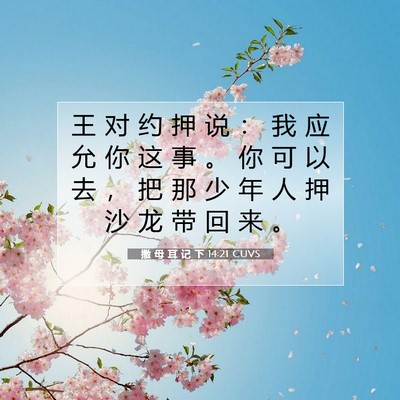 Picture 07 - 撒 母 耳 记 下 14:21 CUVS - 王 对 约 押 说 ： 我 应 允 你 这 事 - Bible Verse Picture