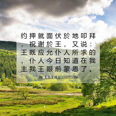 Picture 07 - 撒 母 耳 记 下 14:22 CUVS - 约 押 就 面 伏 於 地 叩 拜 ， 祝 谢 - Bible Verse Picture