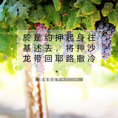 Picture 07 - 撒 母 耳 记 下 14:23 CUVS - 於 是 约 押 起 身 往 基 述 去 ， 将 - Bible Verse Picture