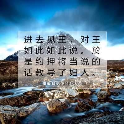 Picture 07 - 撒 母 耳 记 下 14:3 CUVS - 进 去 见 王 ， 对 王 如 此 如 此 说 - Bible Verse Picture