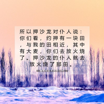 Picture 07 - 撒 母 耳 记 下 14:30 CUVS - 所 以 押 沙 龙 对 仆 人 说 ： 你 们 - Bible Verse Picture