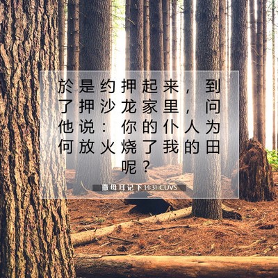 Picture 07 - 撒 母 耳 记 下 14:31 CUVS - 於 是 约 押 起 来 ， 到 了 押 沙 龙 - Bible Verse Picture