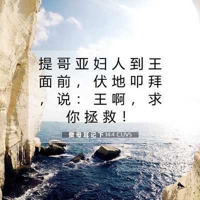 Picture 07 - 撒 母 耳 记 下 14:4 CUVS - 提 哥 亚 妇 人 到 王 面 前 ， 伏 地 - Bible Verse Picture