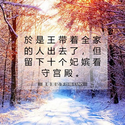 Picture 07 - 撒 母 耳 记 下 15:16 CUVS - 於 是 王 带 着 全 家 的 人 出 去 了 - Bible Verse Picture