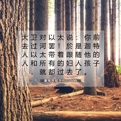 Picture 07 - 撒 母 耳 记 下 15:22 CUVS - 大 卫 对 以 太 说 ： 你 前 去 过 河 - Bible Verse Picture