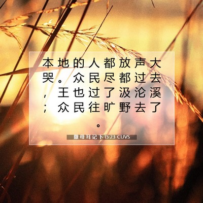 Picture 07 - 撒 母 耳 记 下 15:23 CUVS - 本 地 的 人 都 放 声 大 哭 。 众 民 - Bible Verse Picture