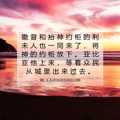 Picture 07 - 撒 母 耳 记 下 15:24 CUVS - 撒 督 和 抬 神 约 柜 的 利 未 人 也 - Bible Verse Picture