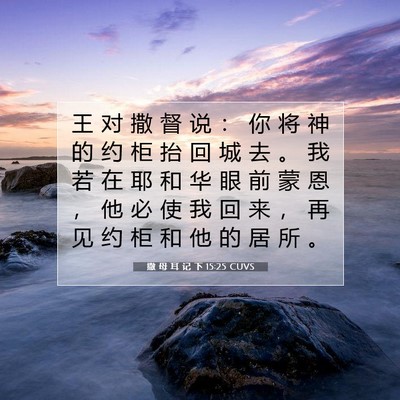Picture 07 - 撒 母 耳 记 下 15:25 CUVS - 王 对 撒 督 说 ： 你 将 神 的 约 柜 - Bible Verse Picture