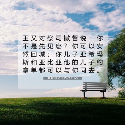 Picture 07 - 撒 母 耳 记 下 15:27 CUVS - 王 又 对 祭 司 撒 督 说 ： 你 不 是 - Bible Verse Picture